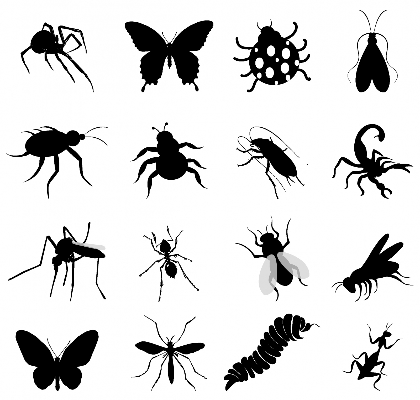 black_insect_set